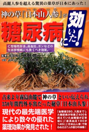書籍:日本山人参が糖尿病に効いた 表紙