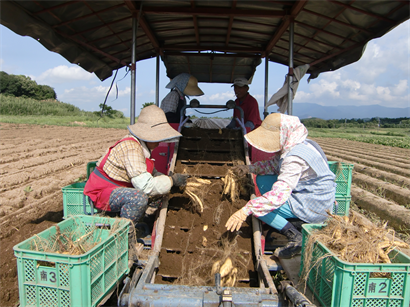 農業をしている風景