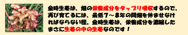 生薬工房〈公式〉オンラインショップ / 百歳元気 日本山人参ゴールド