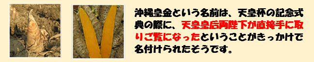 生薬工房〈公式〉オンラインショップ / 百歳元気 日本山人参ゴールド